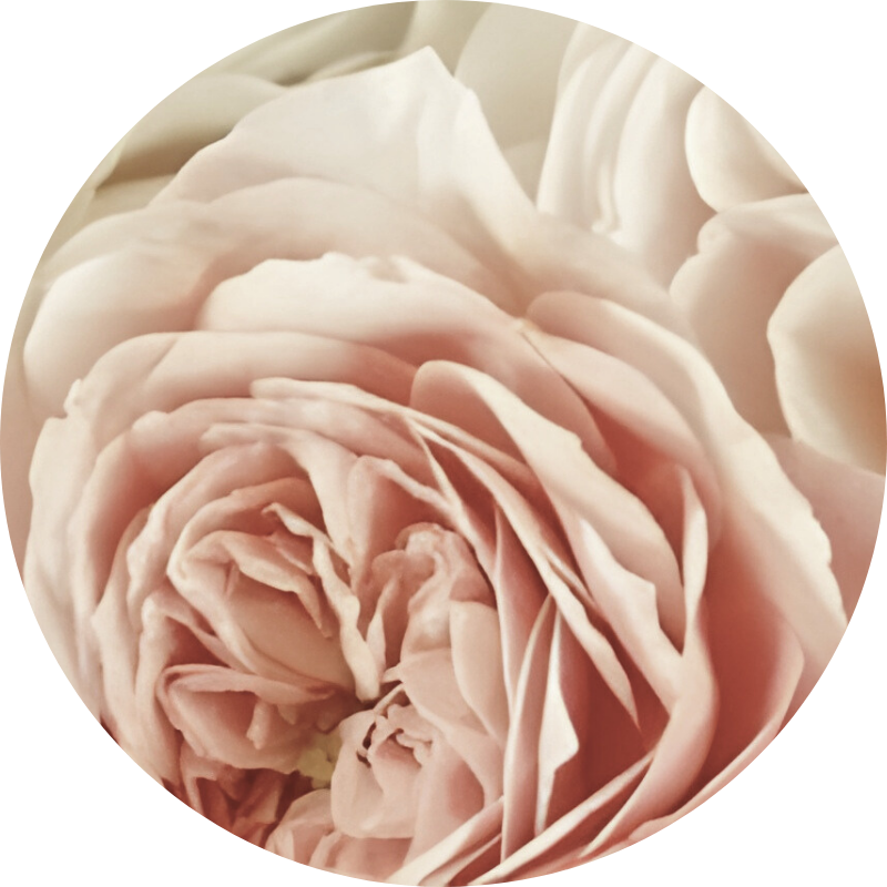 Rituel Rebozo Genève